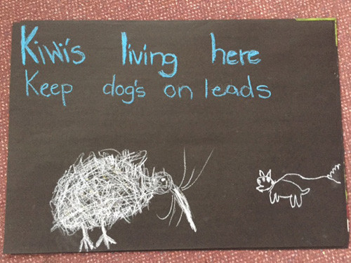 w-kiwi poster Parua Bay School-dogs