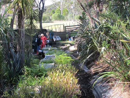 w-Papakarahi Nursery