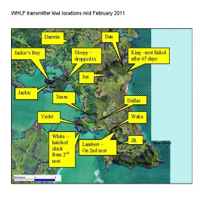 kiwi map mid Feb 2011