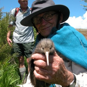 Chick Release